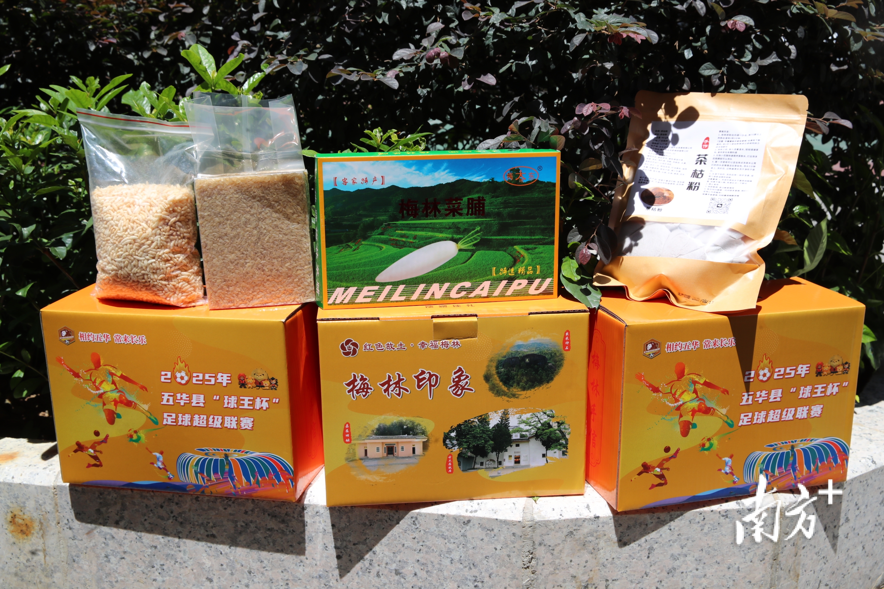 媒集团南方 媒集团南方